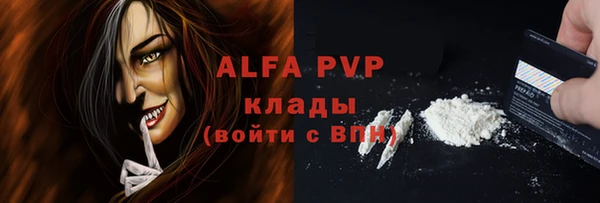 стаф Алексин