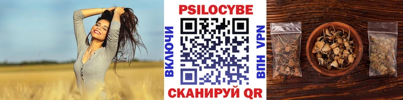 ссылка на мегу   Гдов  Псилоцибиновые грибы MAGIC MUSHROOMS 