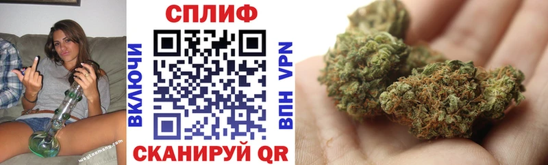Шишки марихуана конопля  Гдов 